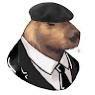 Cybertark77