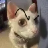 Запрещенное слово